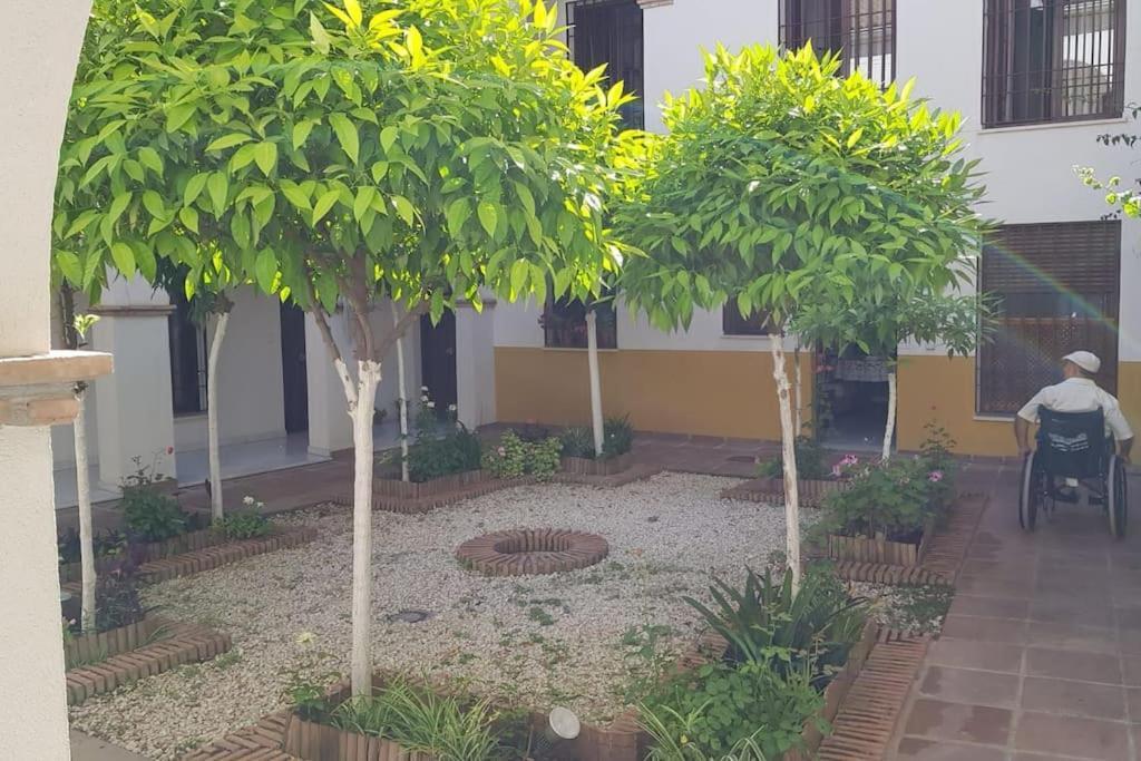 Precioso Apartamento Junto A Plaza La Corredera Cordoba Exterior photo